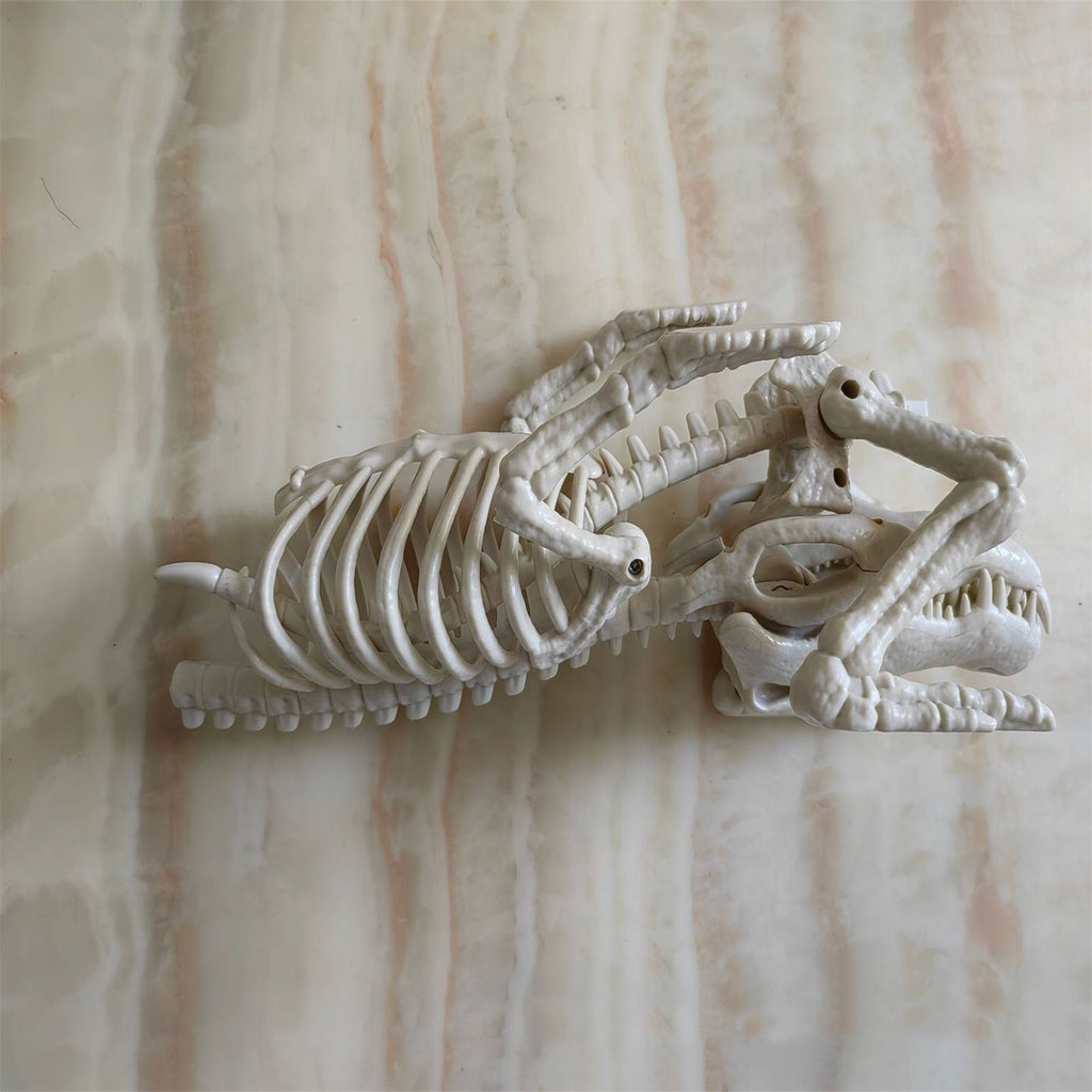 Halloween Alligator and Lizard Skeleton,Movable Mouth Joints Gothic Skeleton Animals Bones Sculptures,Halloween Scary Crocodile Skeleton Sculpture Decoration for Haunted Houses Indoor Outdoor