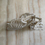 Halloween Alligator and Lizard Skeleton,Movable Mouth Joints Gothic Skeleton Animals Bones Sculptures,Halloween Scary Crocodile Skeleton Sculpture Decoration for Haunted Houses Indoor Outdoor