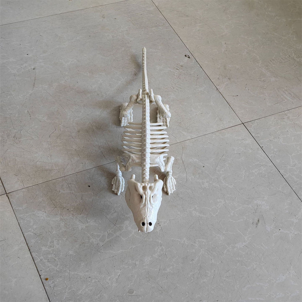 Halloween Alligator and Lizard Skeleton,Movable Mouth Joints Gothic Skeleton Animals Bones Sculptures,Halloween Scary Crocodile Skeleton Sculpture Decoration for Haunted Houses Indoor Outdoor