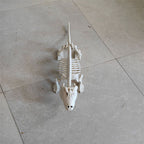 Halloween Alligator and Lizard Skeleton,Movable Mouth Joints Gothic Skeleton Animals Bones Sculptures,Halloween Scary Crocodile Skeleton Sculpture Decoration for Haunted Houses Indoor Outdoor