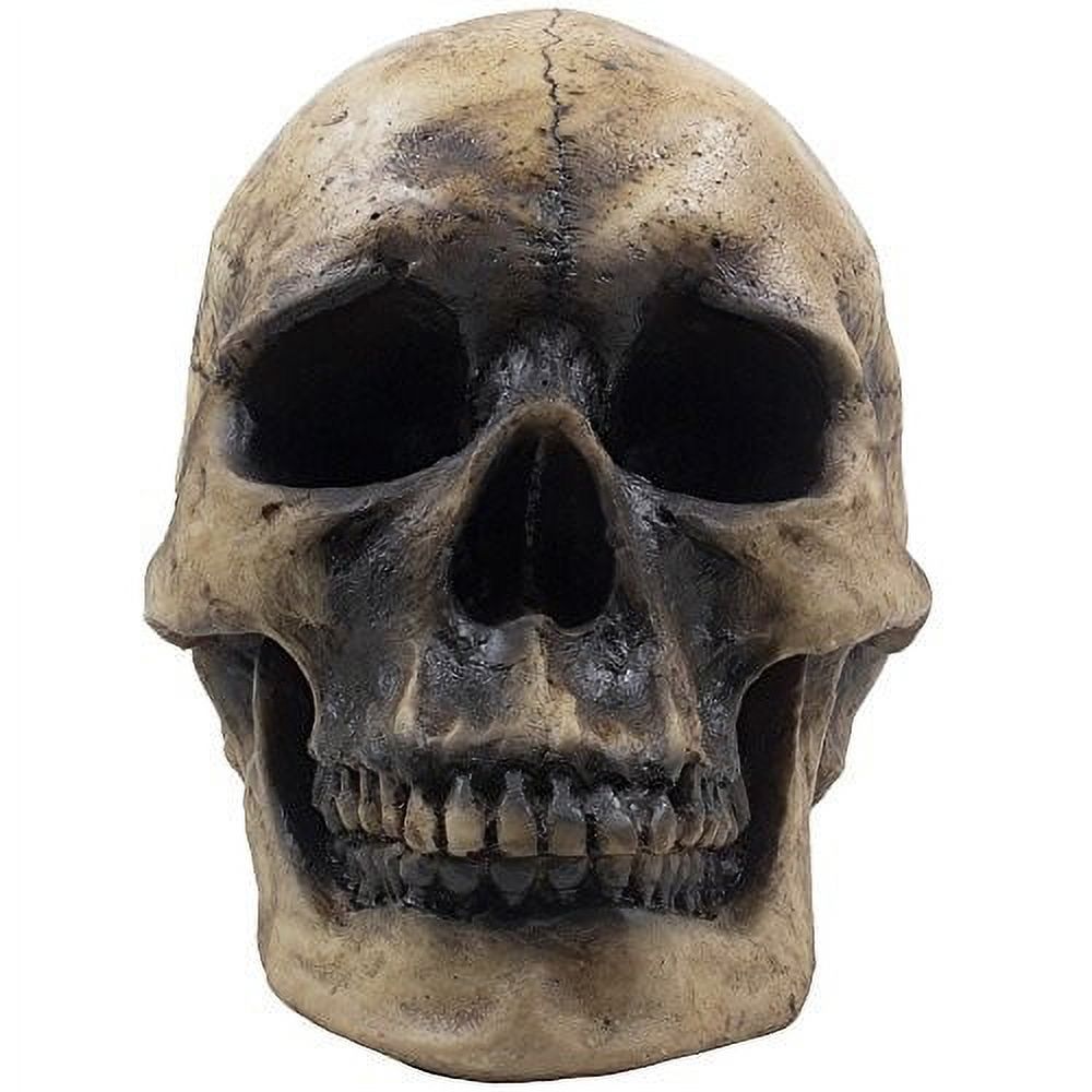 Spooky Human Skull Statuette for Scary Figurines and Sculptures As Halloween Party Decorations or Gothic Decor Collectible Skeleton Gifts