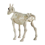 Halloween Skeleton Horse Frame Decorations Outdoor Life-Like Spooky Skull Decor Resin Figurine For Yard Garden Unique Desktop Ornament for Indoor Gothic Home Party Supplies Holiday Gift