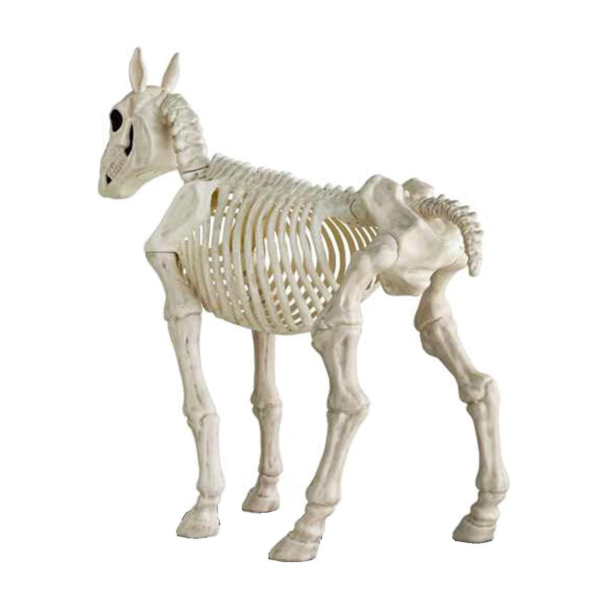 Halloween Skeleton Horse Frame Decorations Outdoor Life-Like Spooky Skull Decor Resin Figurine For Yard Garden Unique Desktop Ornament for Indoor Gothic Home Party Supplies Holiday Gift