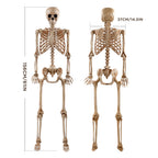 Ayieyill 5.4ft Halloween Skeleton Decorations, Weathered Posable Skeleton Decor for Halloween Decorations Outdoor Indoor