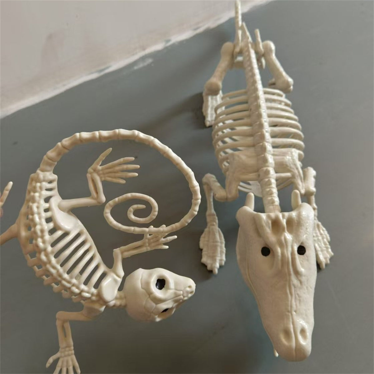Halloween Alligator and Lizard Skeleton,Movable Mouth Joints Gothic Skeleton Animals Bones Sculptures,Halloween Scary Crocodile Skeleton Sculpture Decoration for Haunted Houses Indoor Outdoor