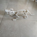 Halloween Alligator and Lizard Skeleton,Movable Mouth Joints Gothic Skeleton Animals Bones Sculptures,Halloween Scary Crocodile Skeleton Sculpture Decoration for Haunted Houses Indoor Outdoor