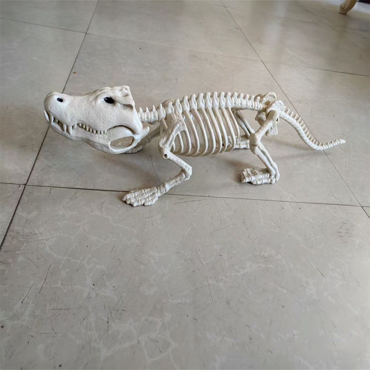 Halloween Alligator and Lizard Skeleton,Movable Mouth Joints Gothic Skeleton Animals Bones Sculptures,Halloween Scary Crocodile Skeleton Sculpture Decoration for Haunted Houses Indoor Outdoor