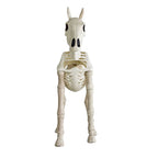 Halloween Skeleton Horse Frame Decorations Outdoor Life-Like Spooky Skull Decor Resin Figurine For Yard Garden Unique Desktop Ornament for Indoor Gothic Home Party Supplies Holiday Gift